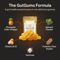 GutGums — Daily Gut Health Gummies